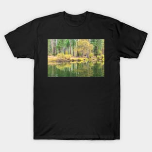 Trees and Reflections T-Shirt